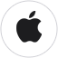 Vision Pro logo